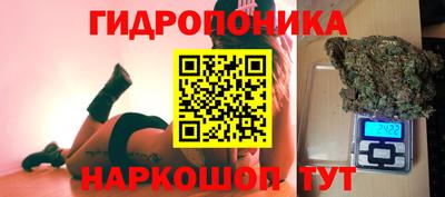 крисы Беслан