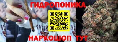 крисы Беслан