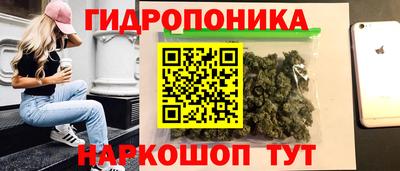 сатива Абинск