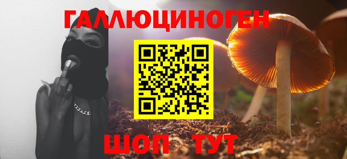 Галлюциногенные грибы прущие грибы  где найти   Куйбышев 